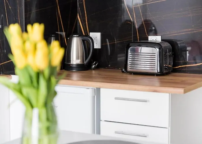 Διαμέρισμα Nikola *